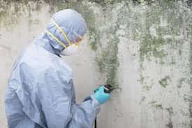 Reliable Southside Place, TX Mold Remediation Solutions